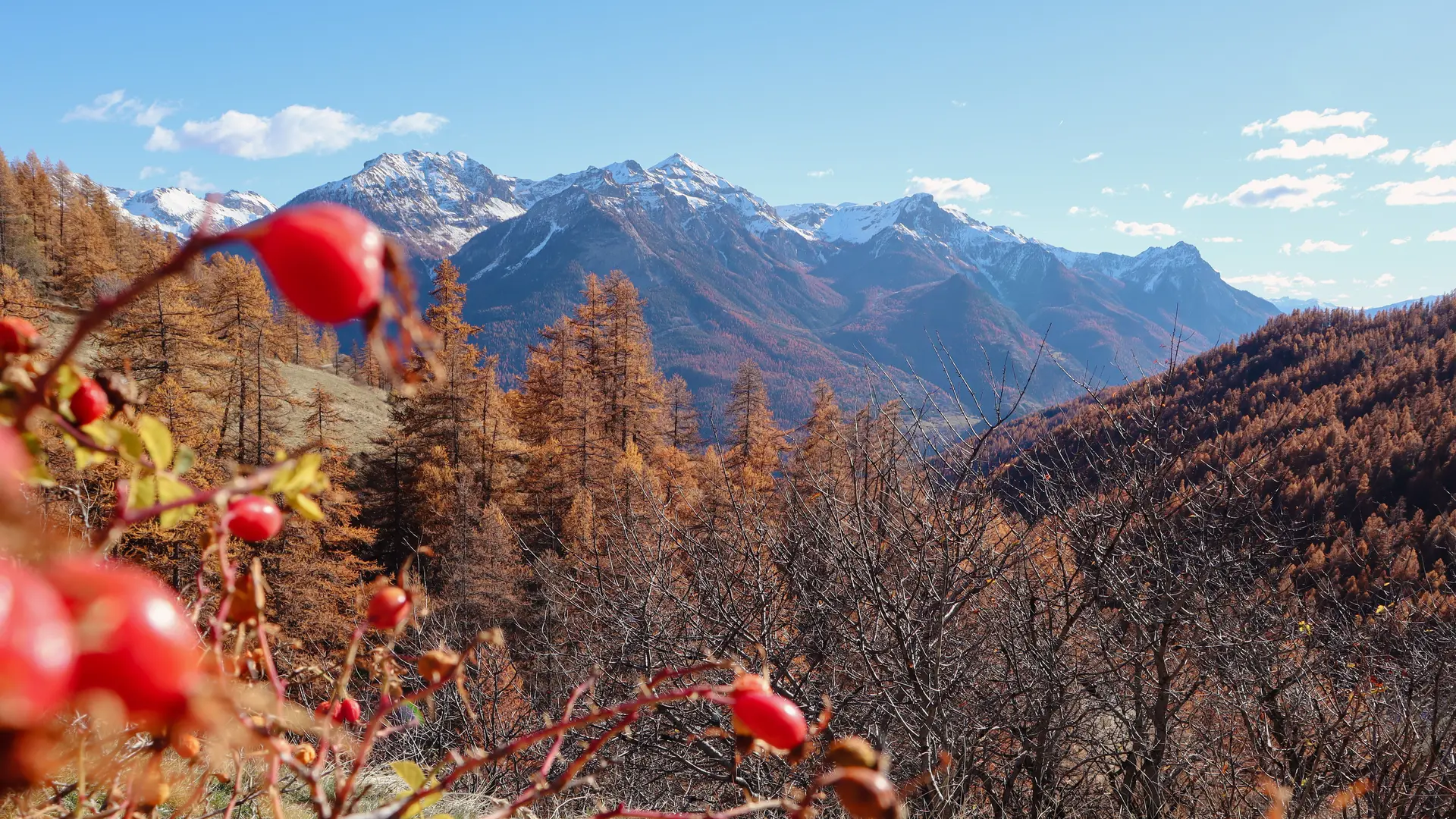 La boucle du hameau des Combes_Puy-Saint-André