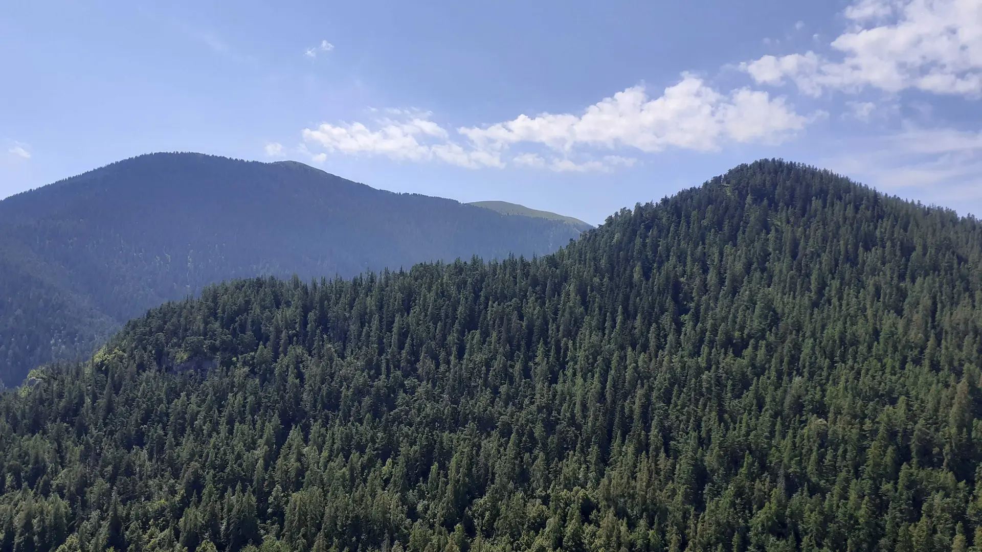 Gîte Le Génépi-Vue depuis le Gîte-Roubion-Gîtes de France des Alpes-Maritimes