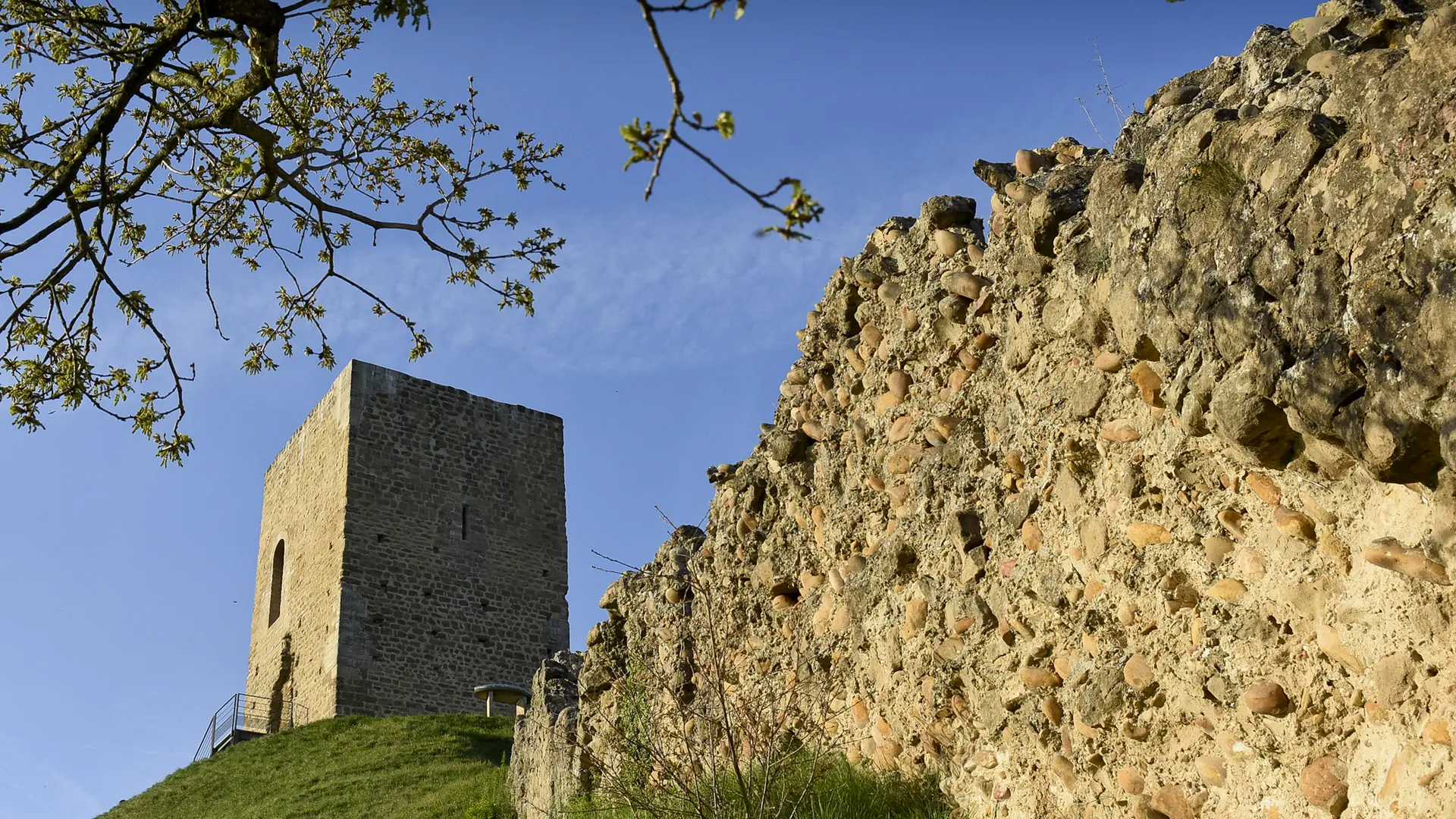 La tour et les crêtes - Albon