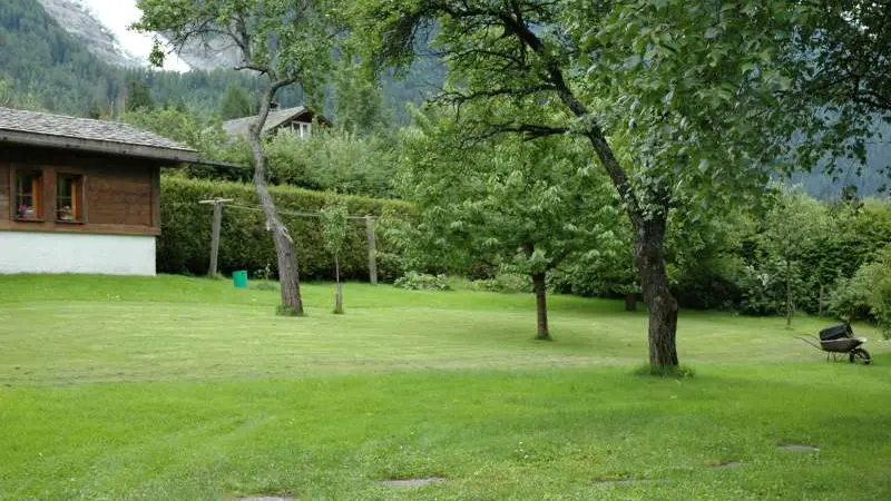 jardin