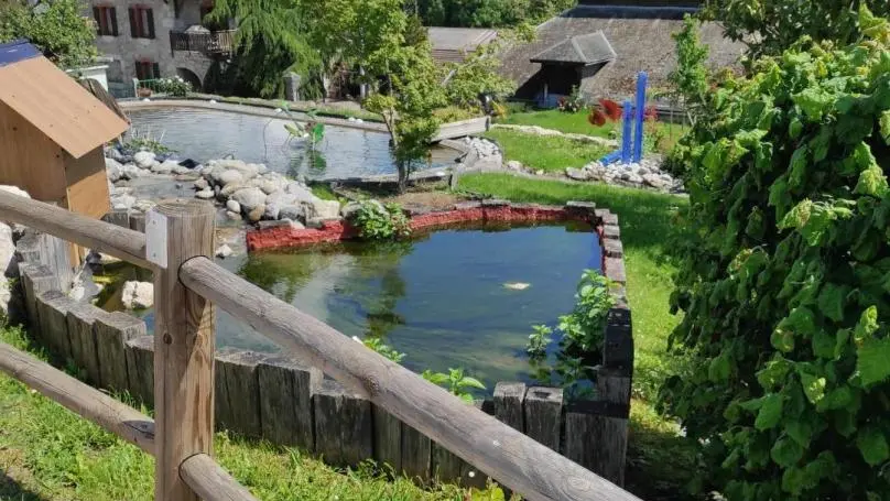 Bassin au printemps