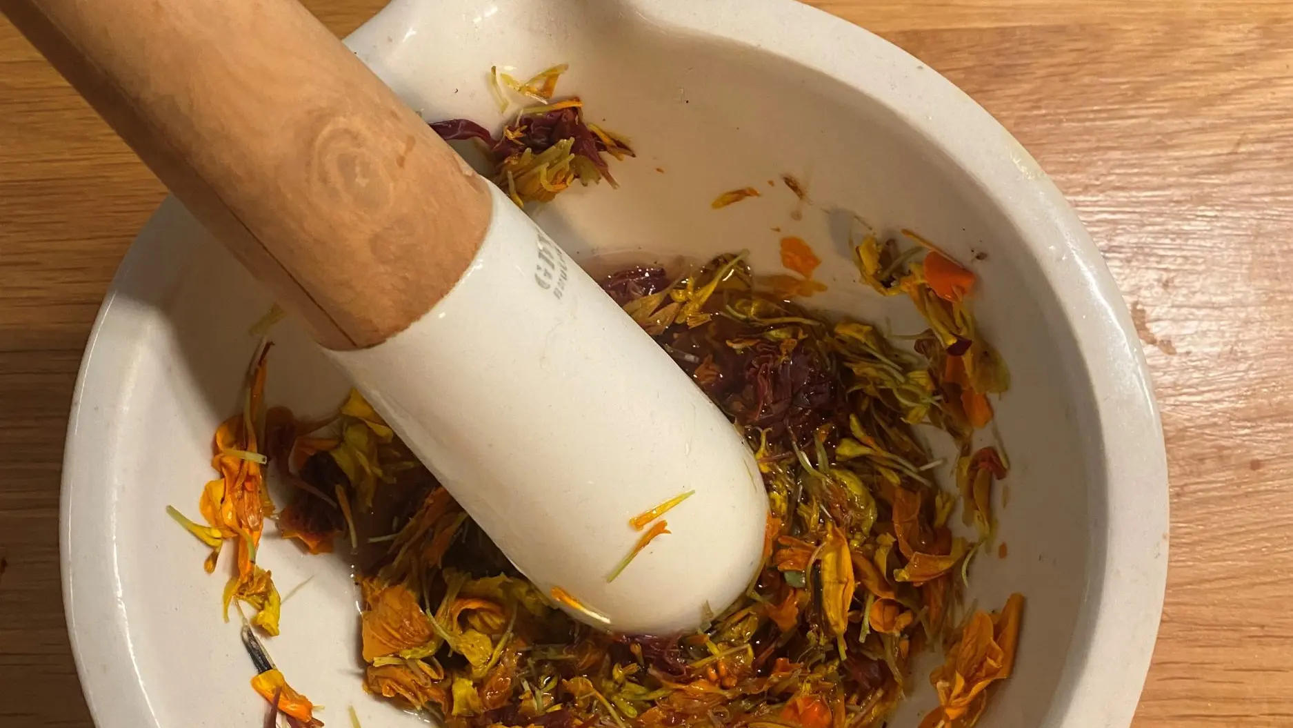 Atelier papier et encre végétale_Rayol-Canadel sur Mer