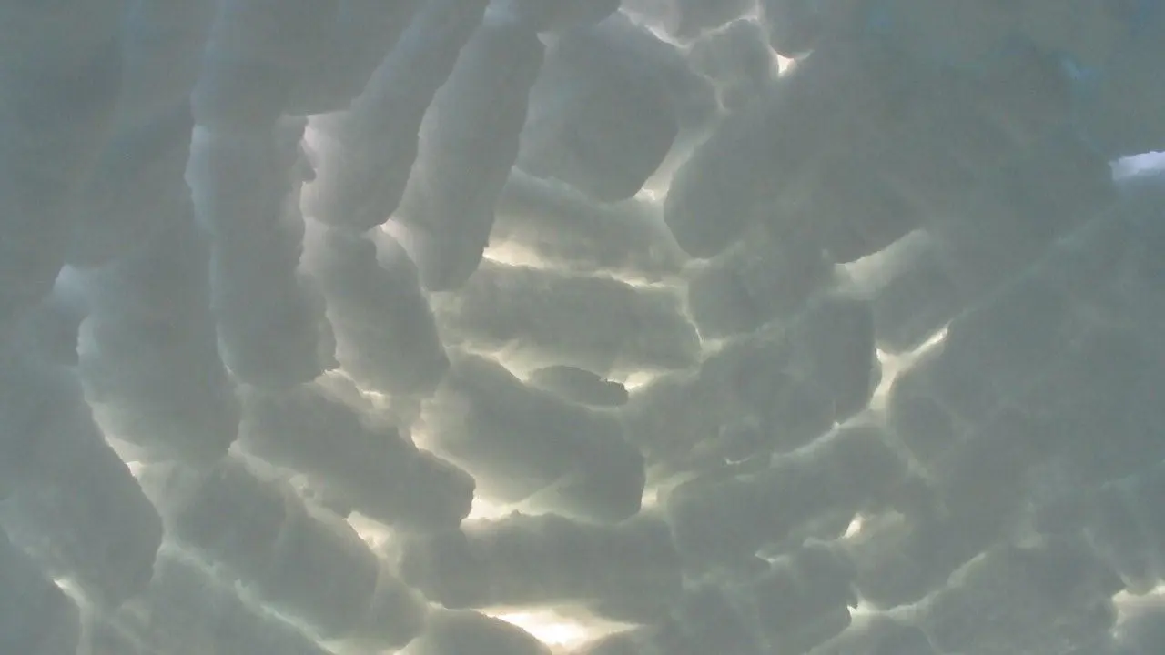 Vu de l'intérieur...