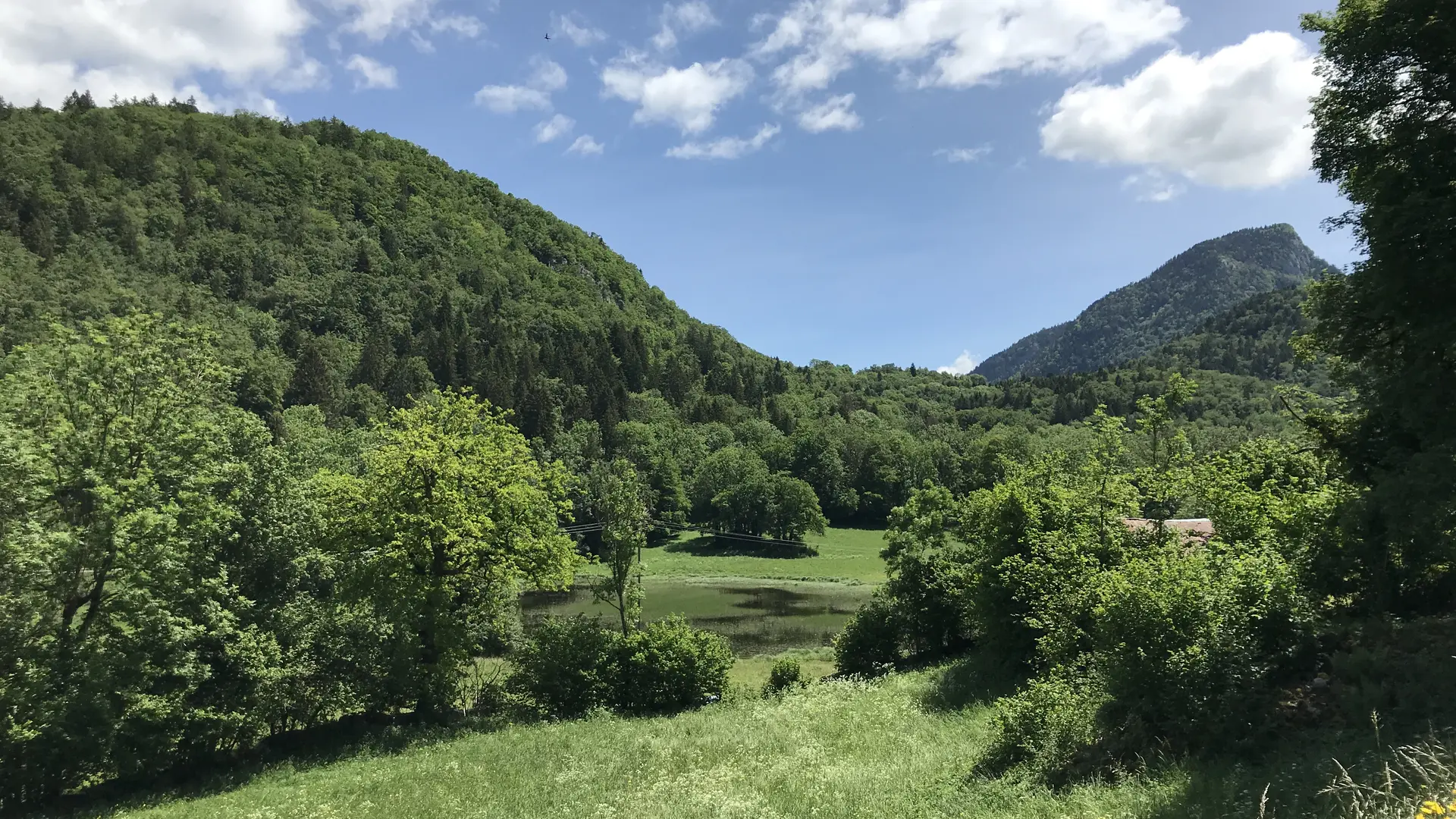 Marais d'Yvoray