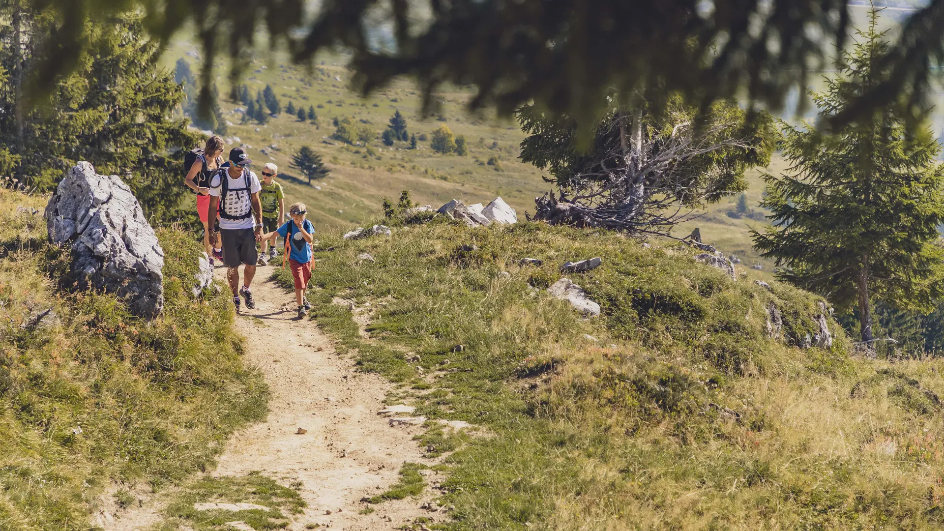 Sentier de découverte du milieu montagnard 4