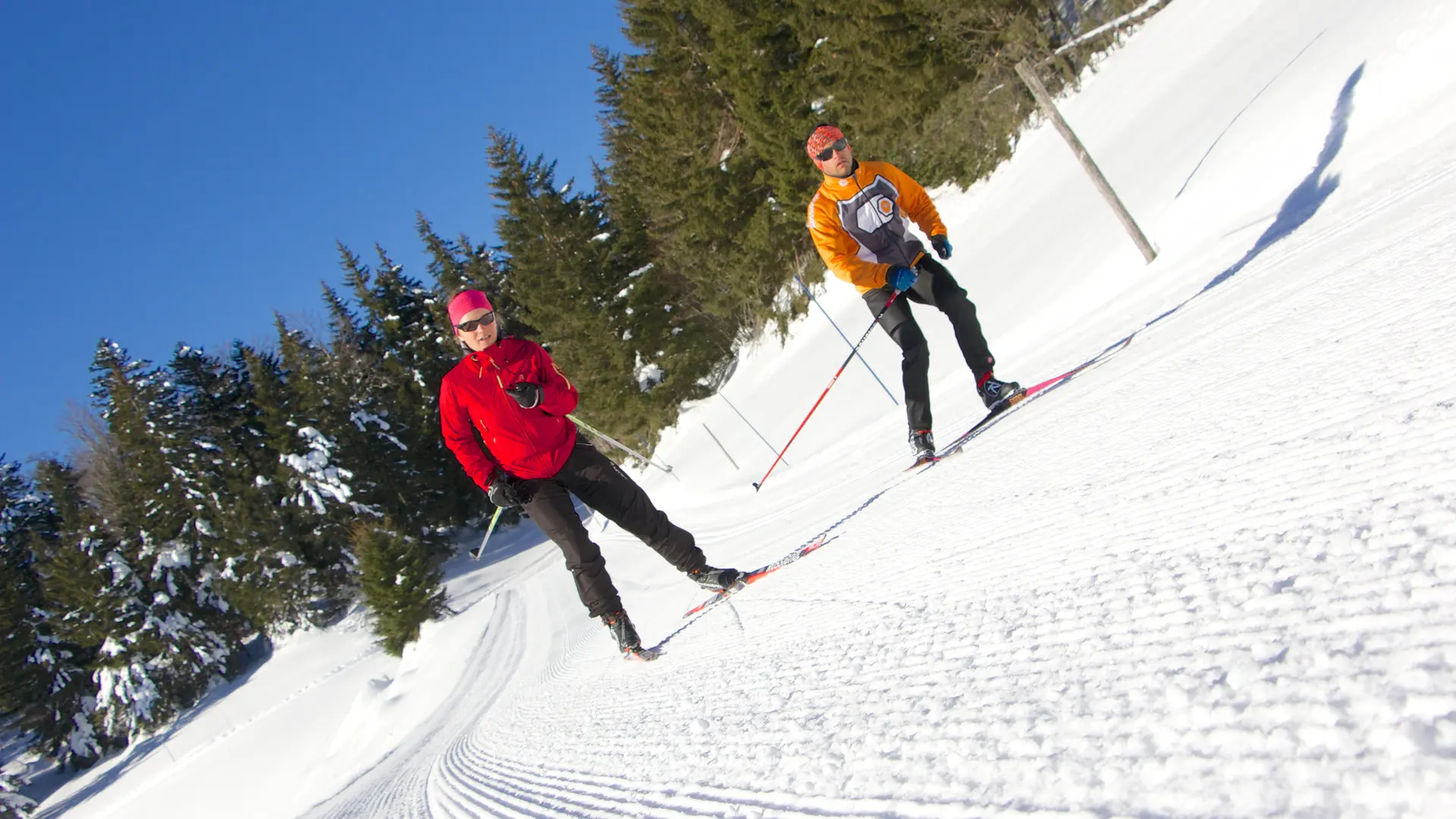 Ski de fond