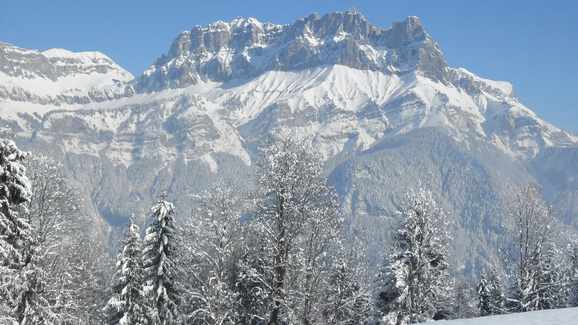 vue sur les Fiz