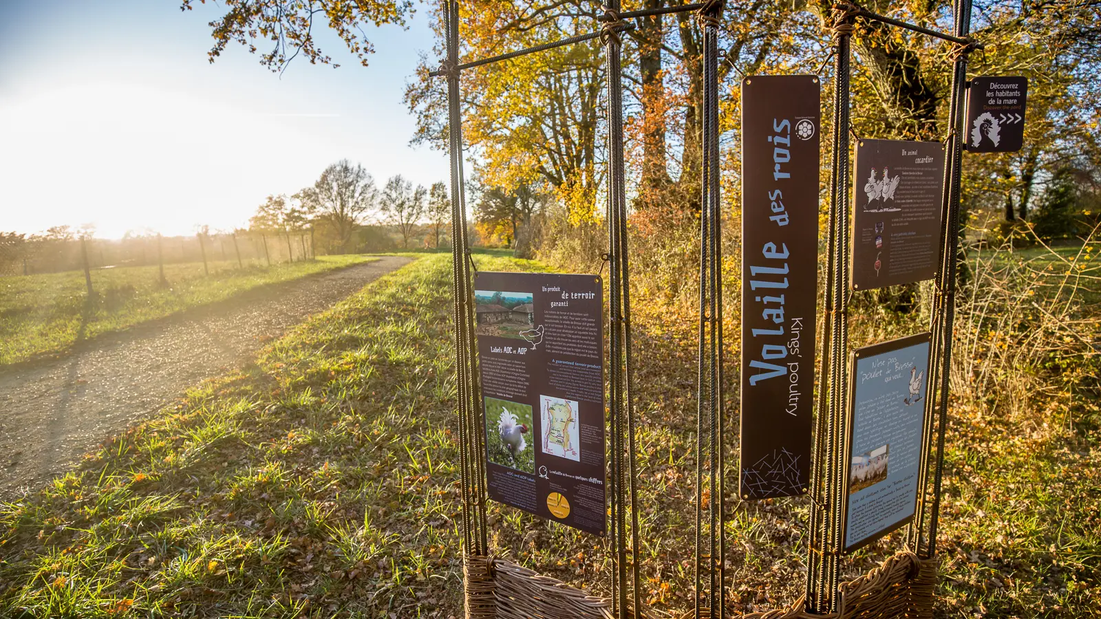 Sentier d'interprétation des plumes dans le bocage