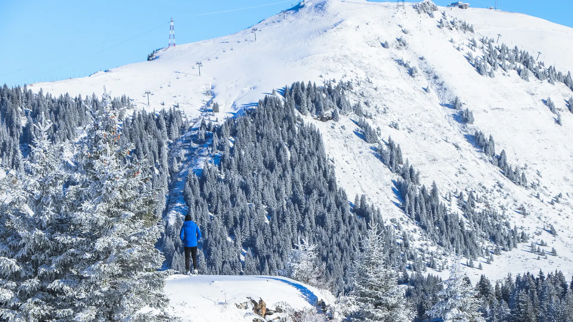 Sortie accompagnée en randonnée raquette au Domaine Nordique