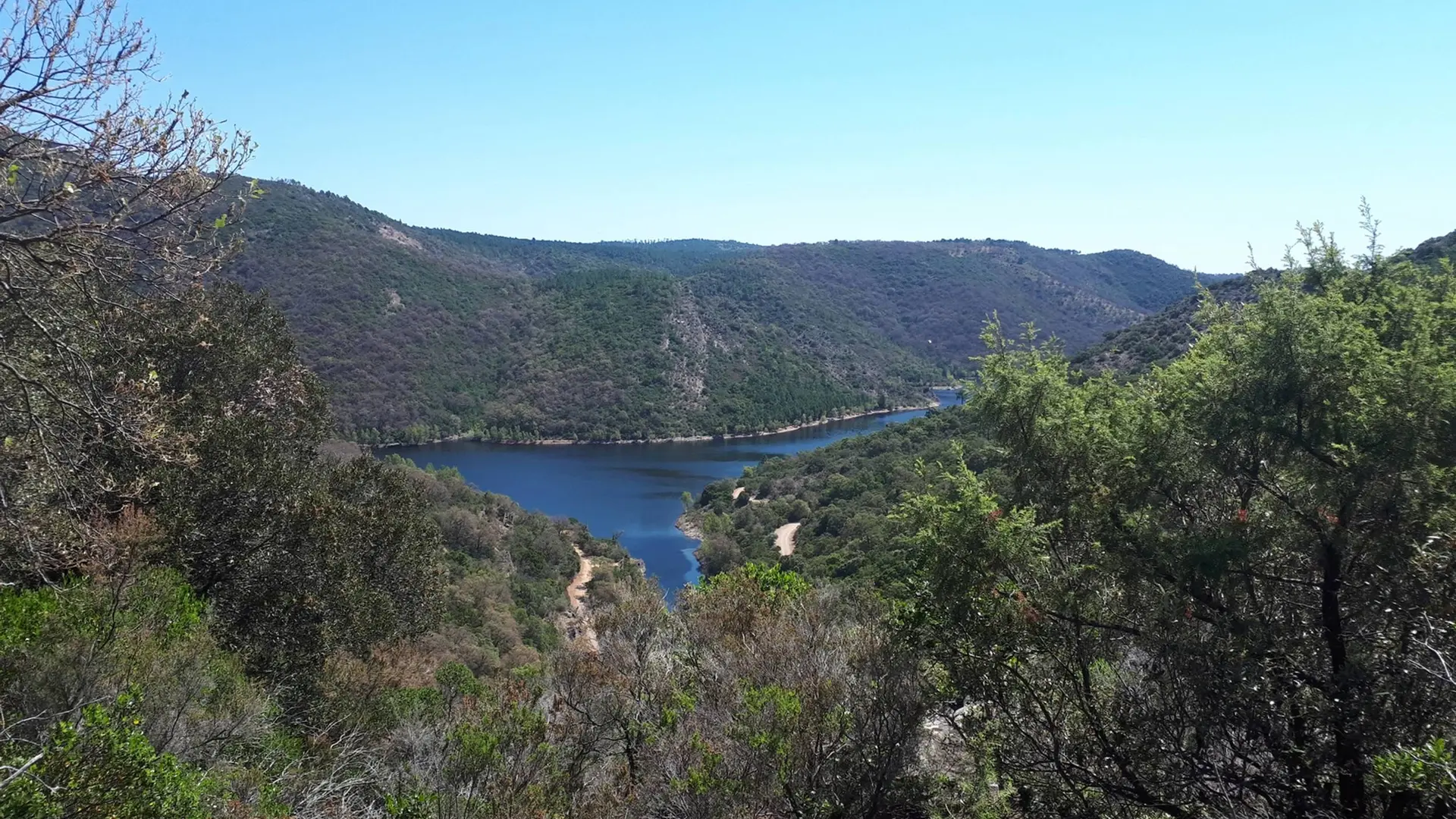Panorama sur le massif forestier et la retenue d'eau de la rivière de la Verne