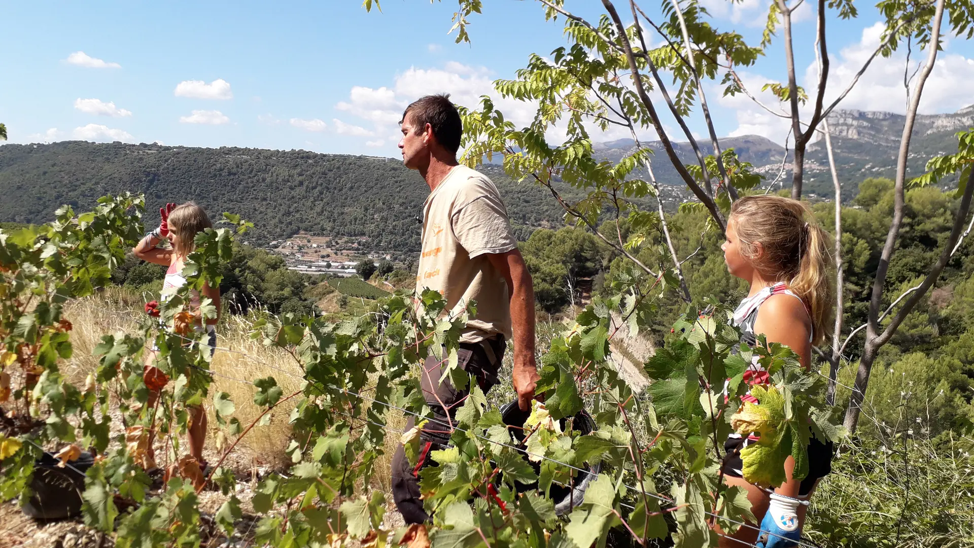 le vigneron et ses filles