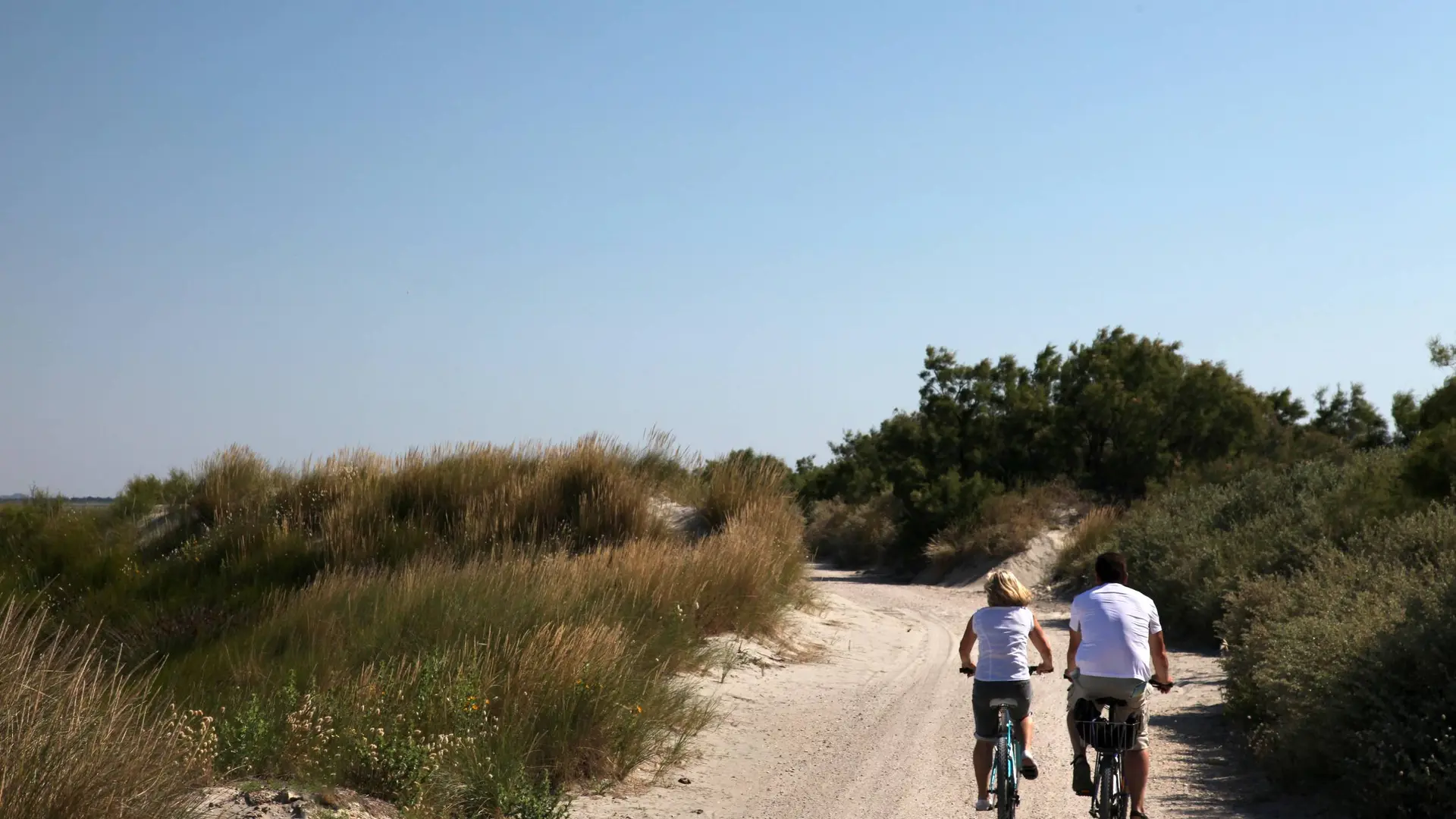 Cyclistes sur la digue à la mer