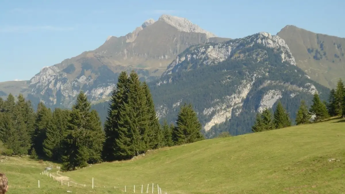 Sentier pédestre de montagne en Haute-Savoie. Randonnées de tous niveaux balisées, et G R 5  à  Sixt Fer à Cheval