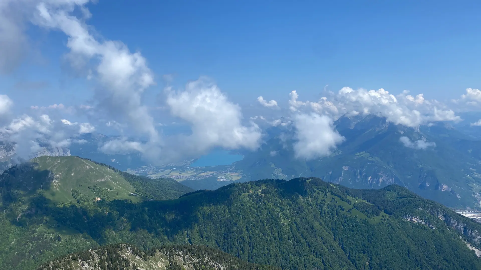 Randonnée pédestre : La Petite Sambuy via la piste forestière_Faverges-Seythenex
