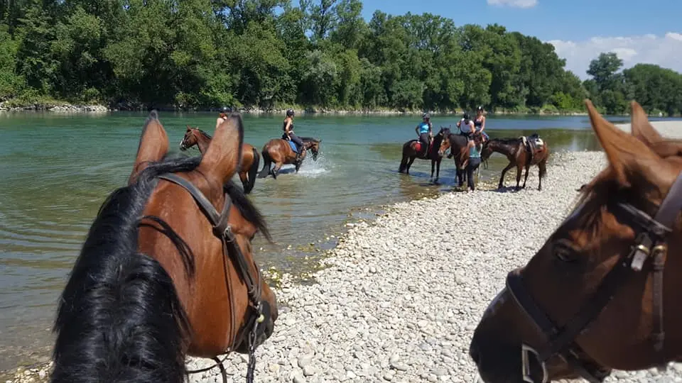 Balade baignade au Rhône