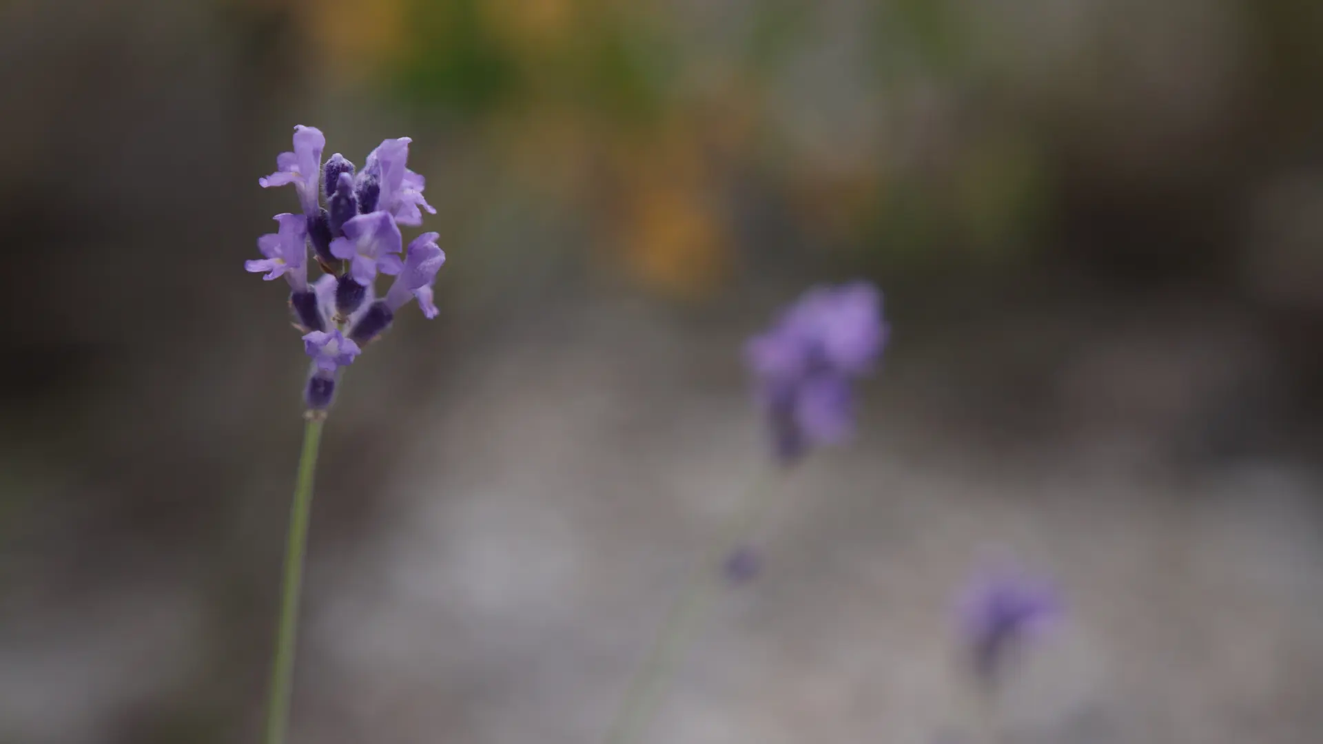 Col de Pierrefeu depuis Glaise