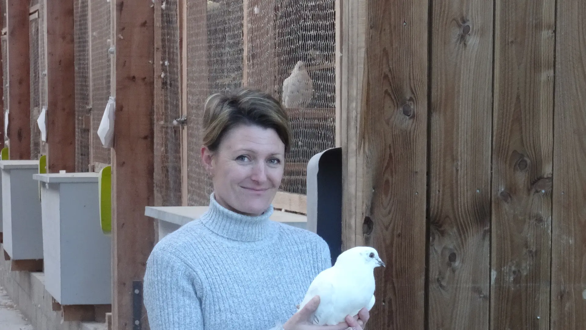 sandre.giboreau@gmail.com