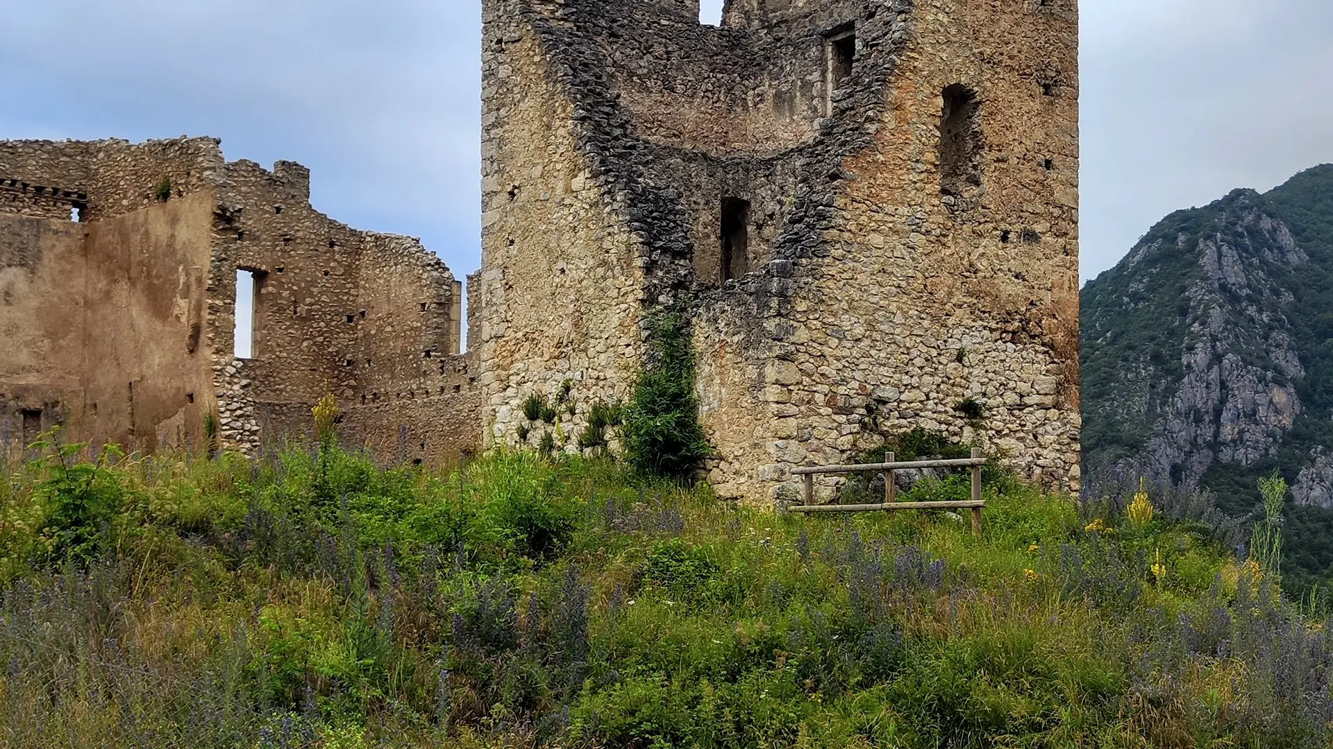 Vue sur les ruines du château
