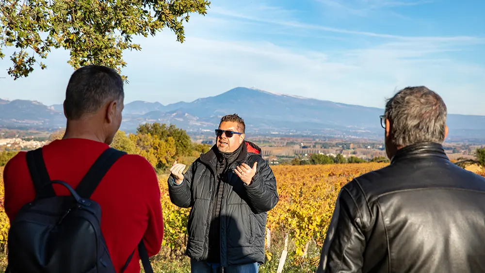 Découverte et visite des terroirs de Châteauneuf du Pape