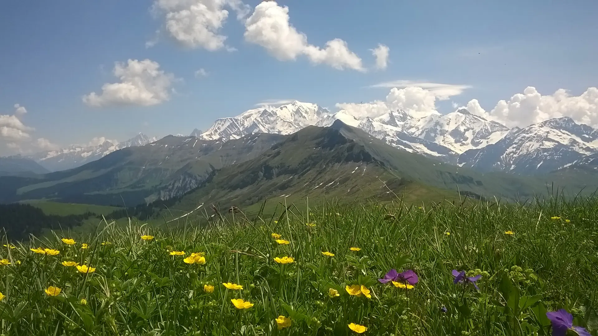 Véry