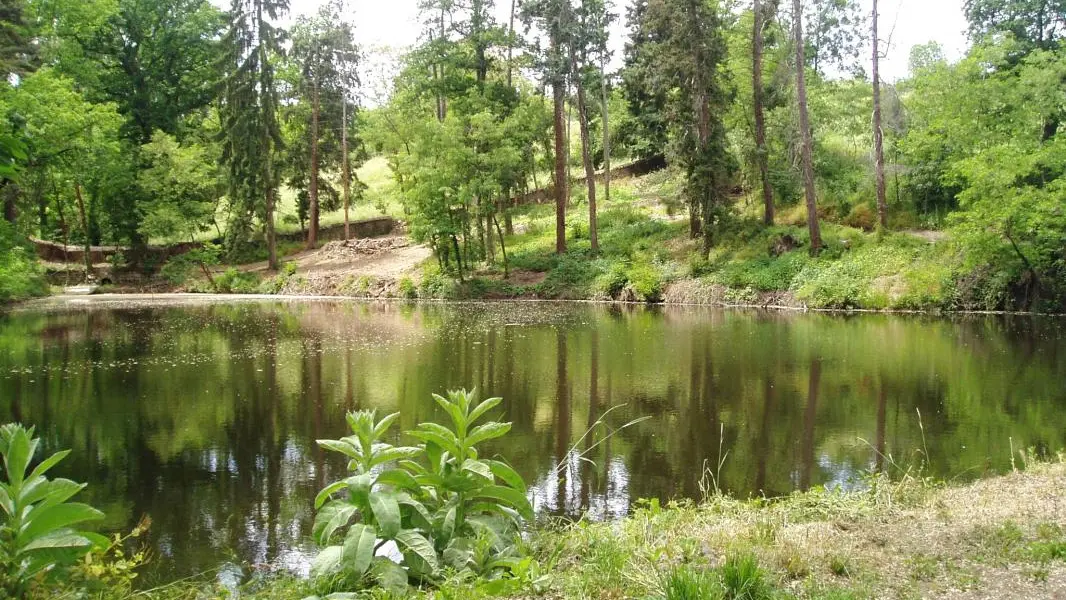 L'étang