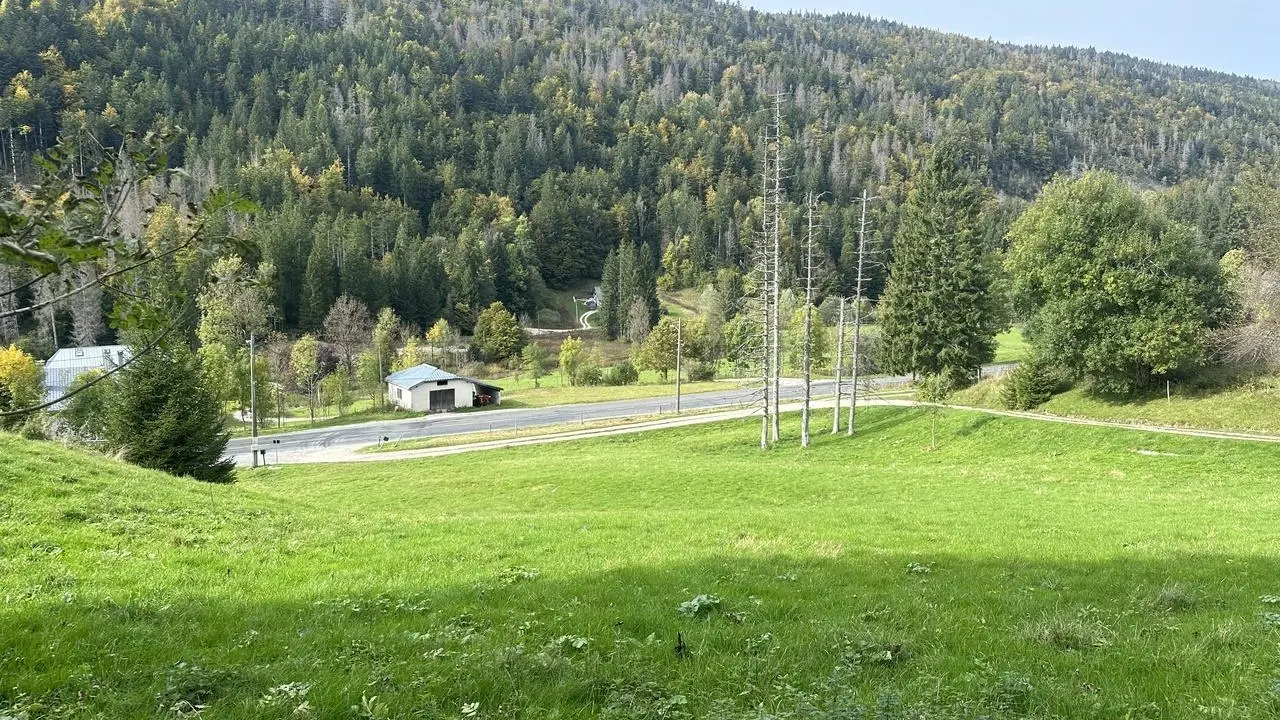 Vue depuis la propriété