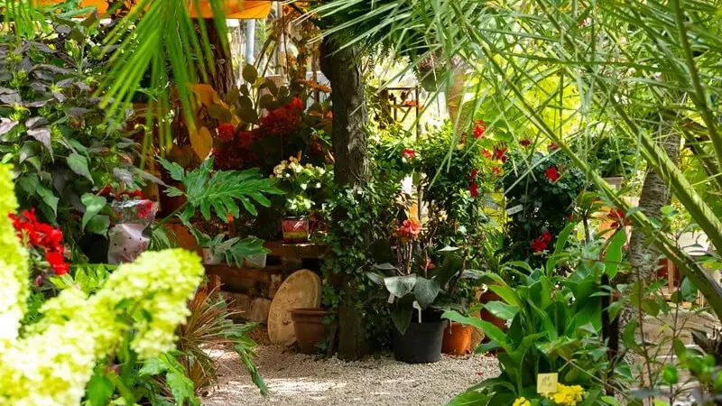 Fruits et légumes Le Moulin d'eau