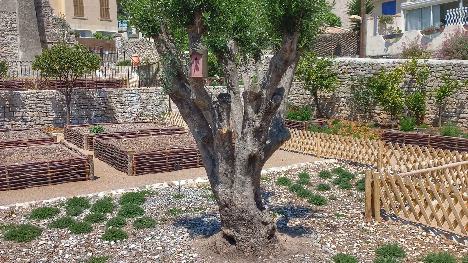 Jardin des Cédrats - Ollioules