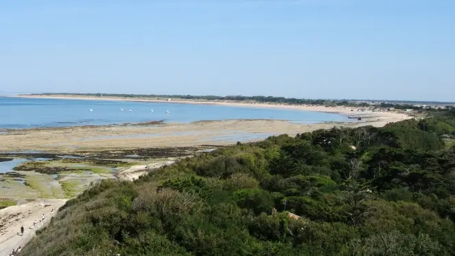 Vue plage