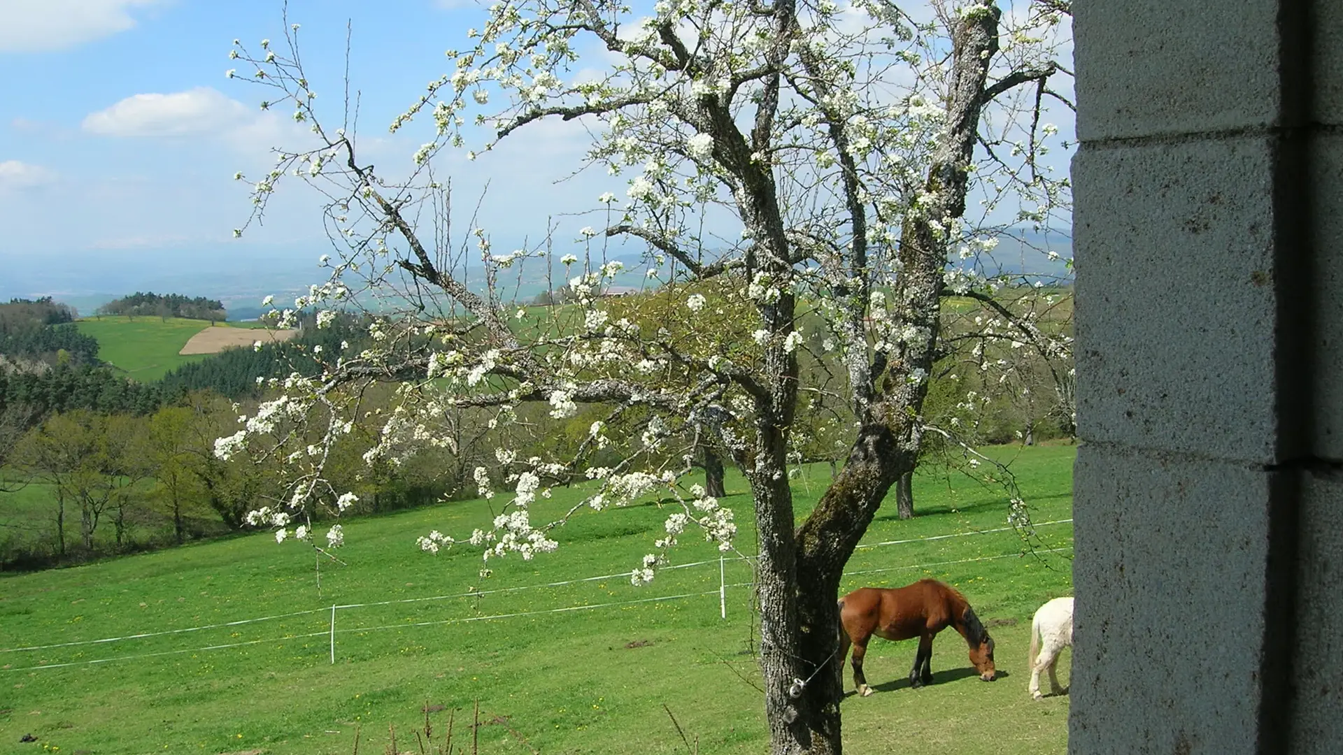 Vue depuis la chambre