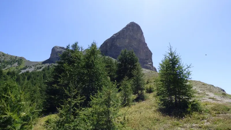 Sommet de la montagne de Rochecline, masse rocheuse entourée de végétation et de quelques conifères