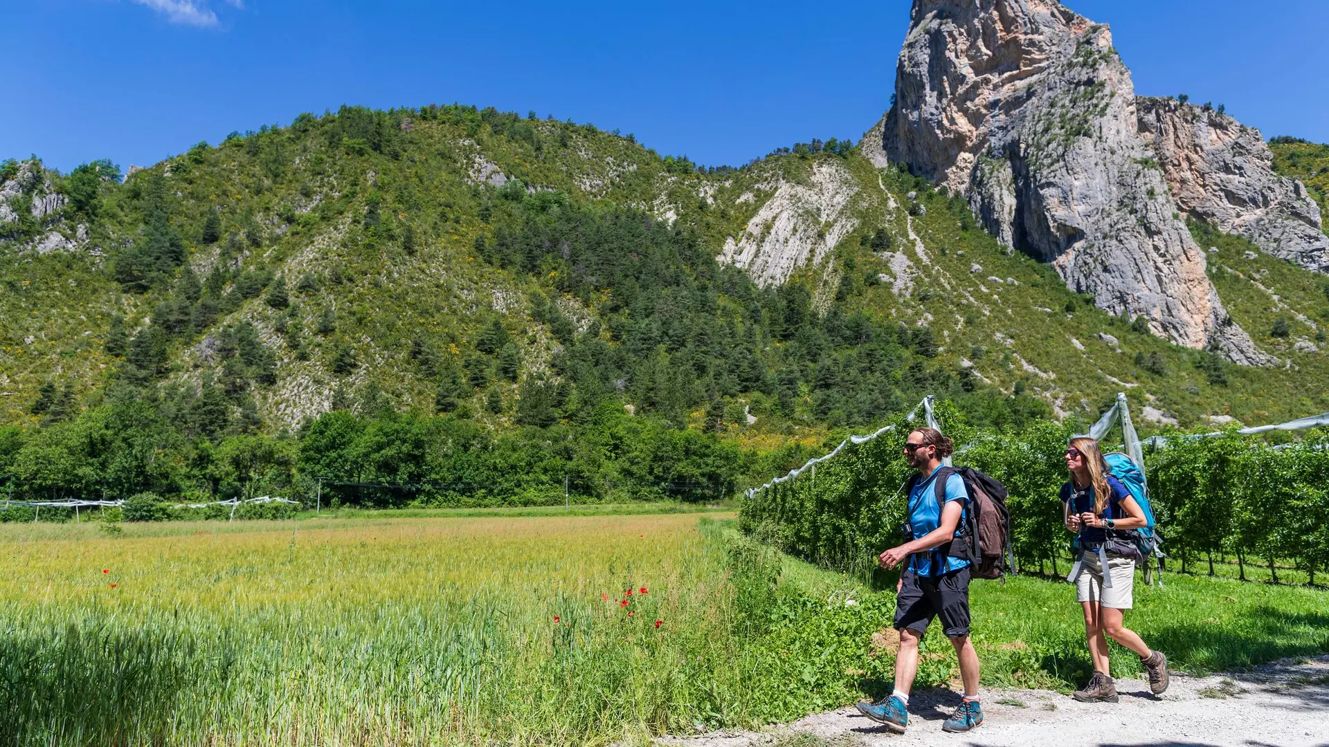Sur les hauteurs du Caire