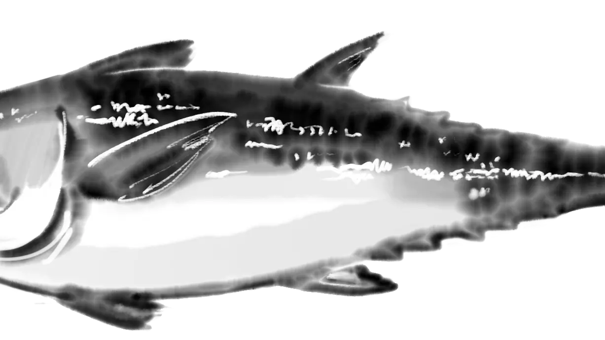 Poisson