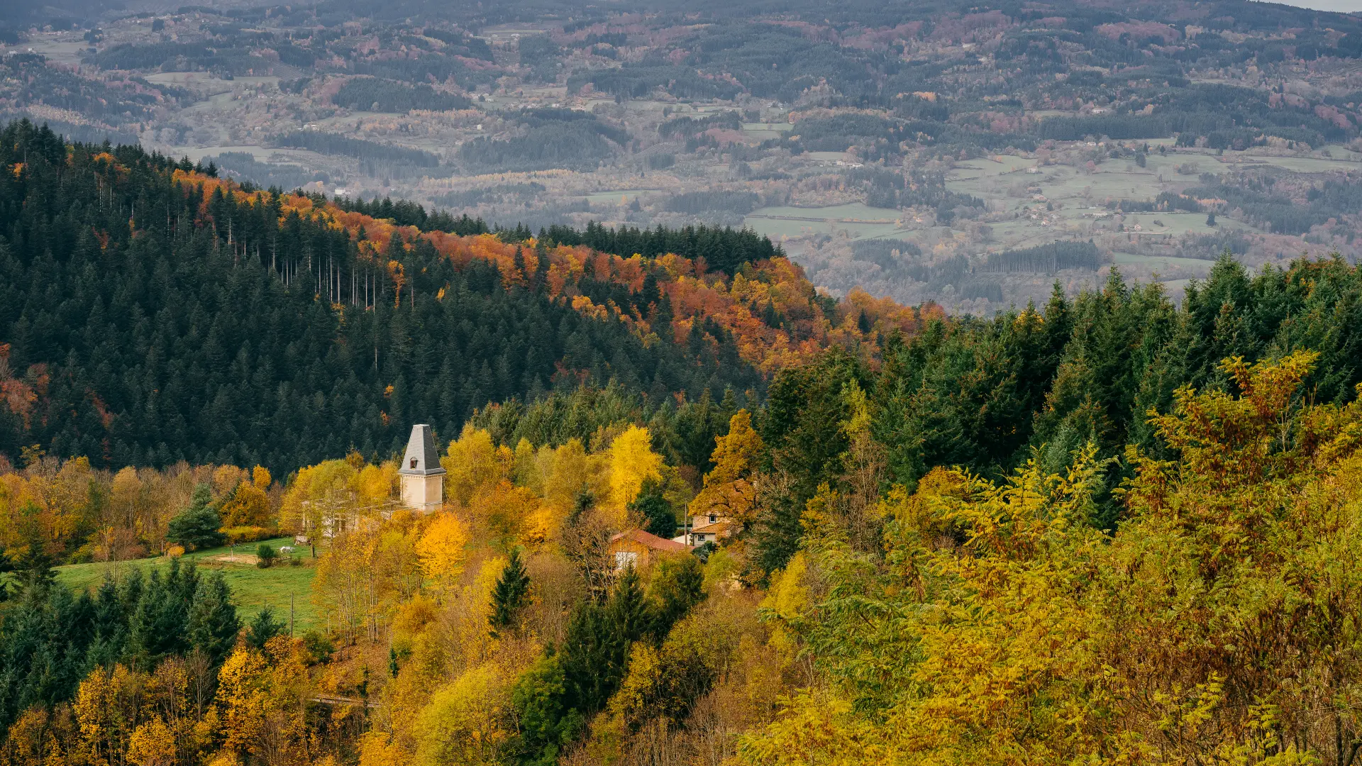 Paysage