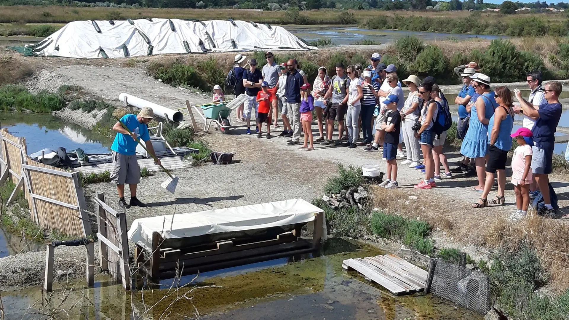 Besuch in den Sümpfen