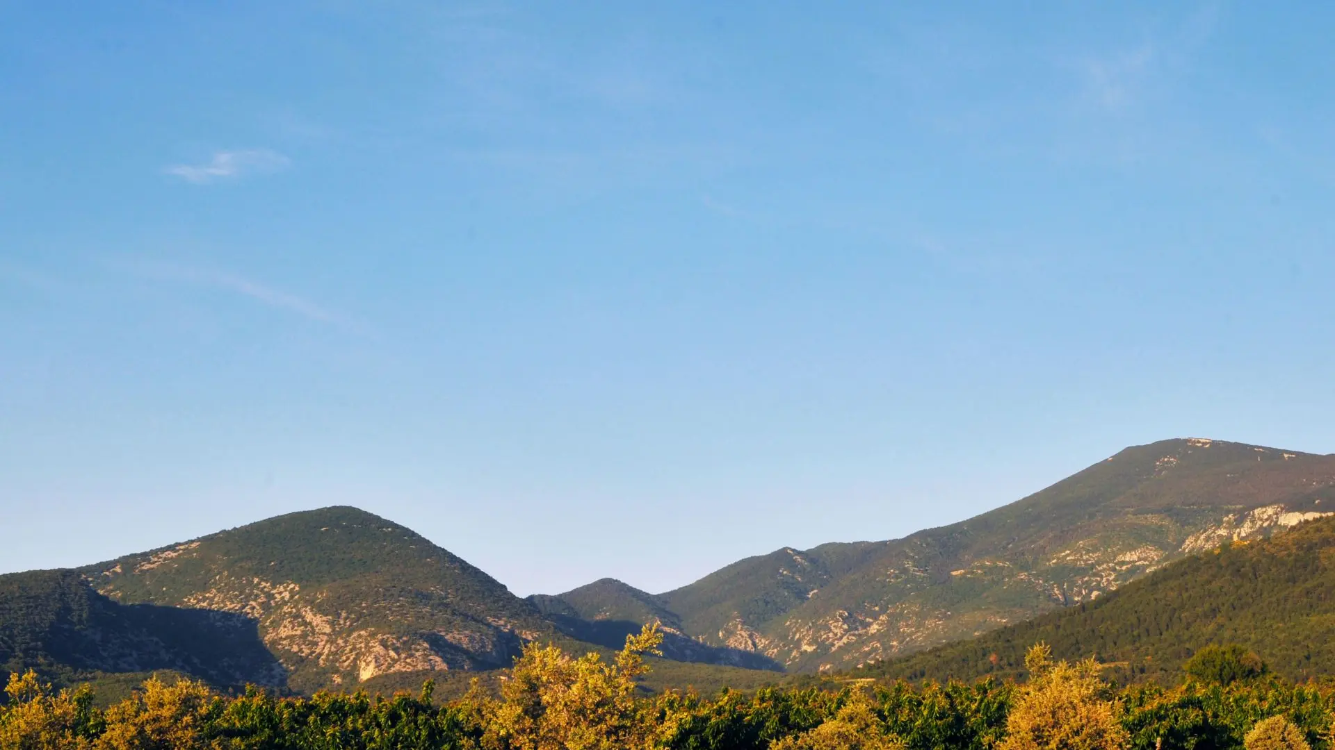 Paysage