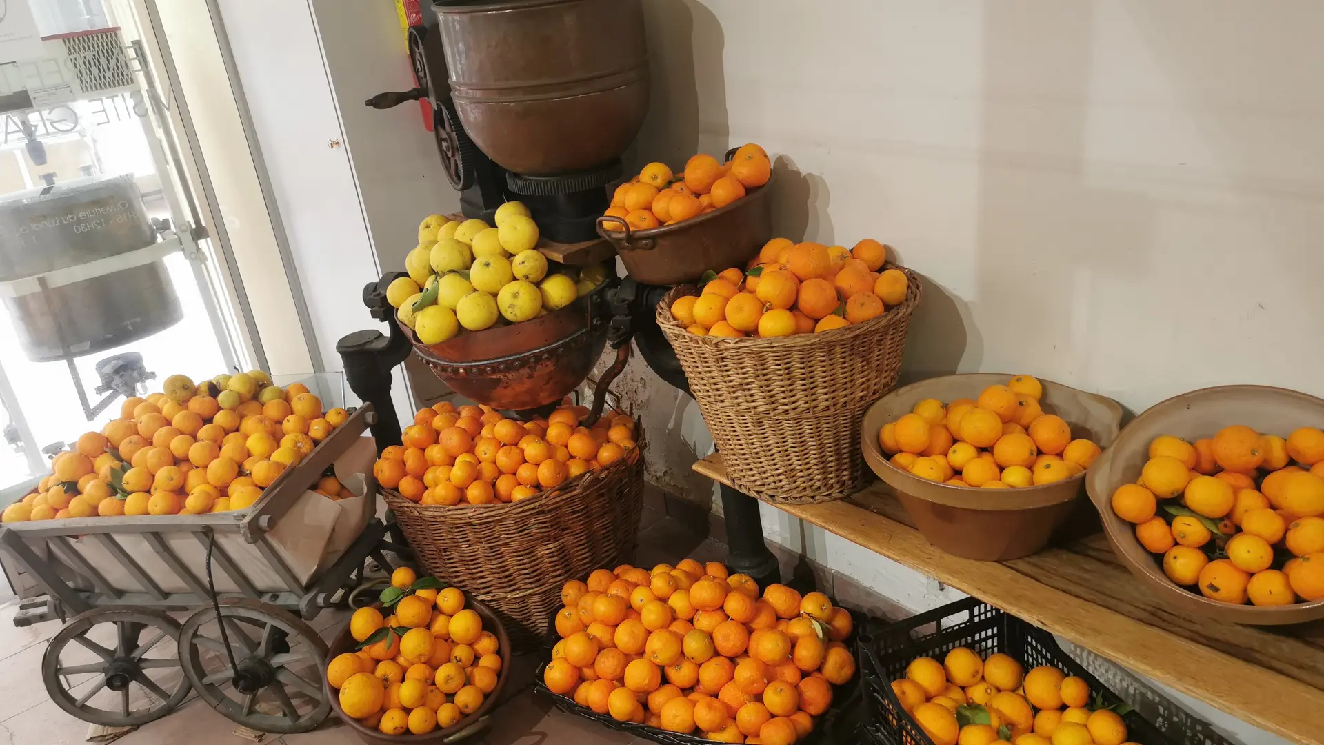 Arrivée des agrumes à la fabrique