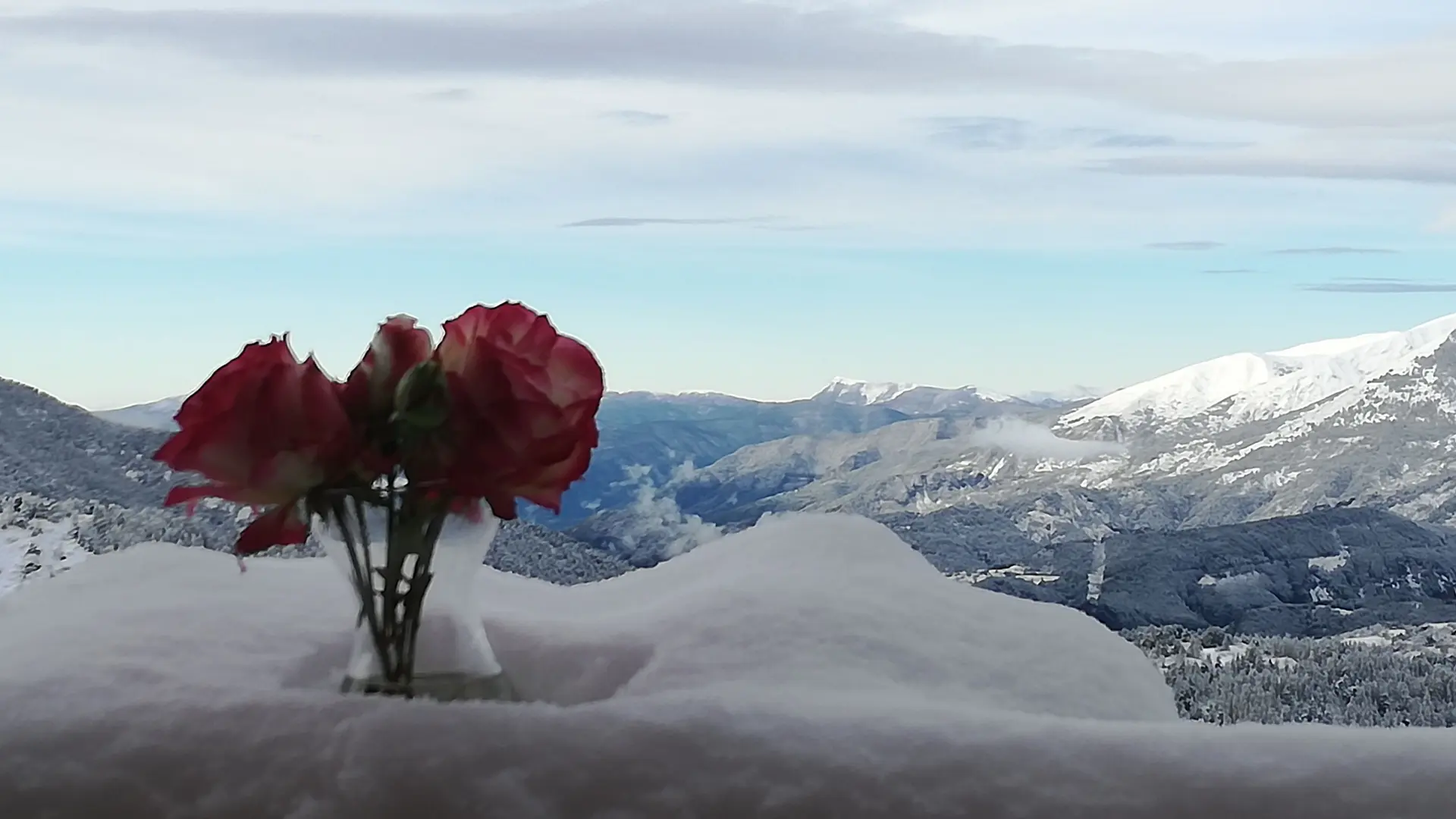 Villa Saint-Jean n°1-Vue avec fleurs-Valberg-Gîtes de France des Alpes-Maritimes