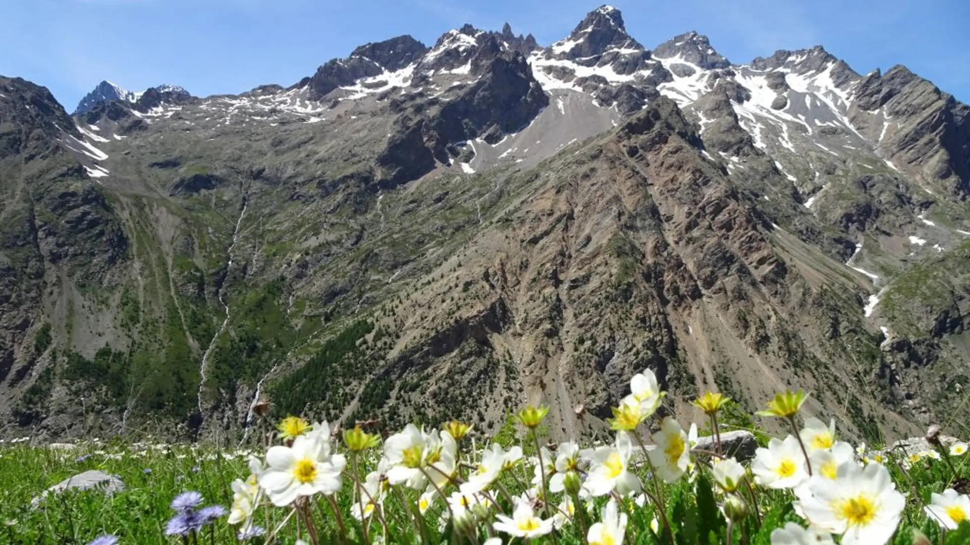 Sur les traces des bergers