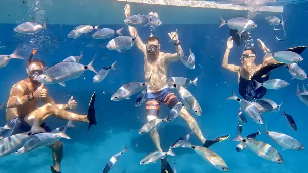 Marseille: Iconic Calanques Boat Tour with Snorkeling