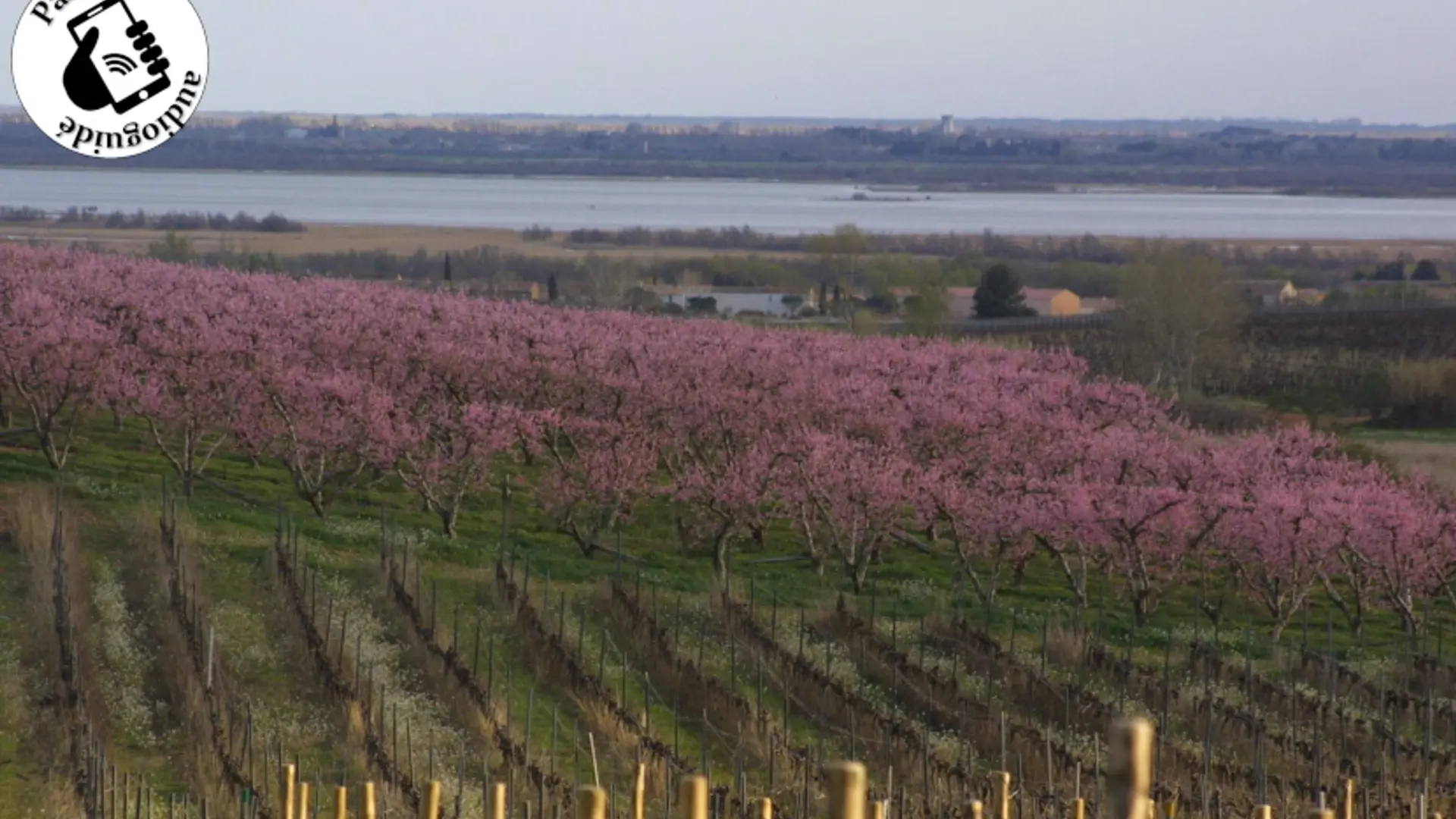 Verger en Costières