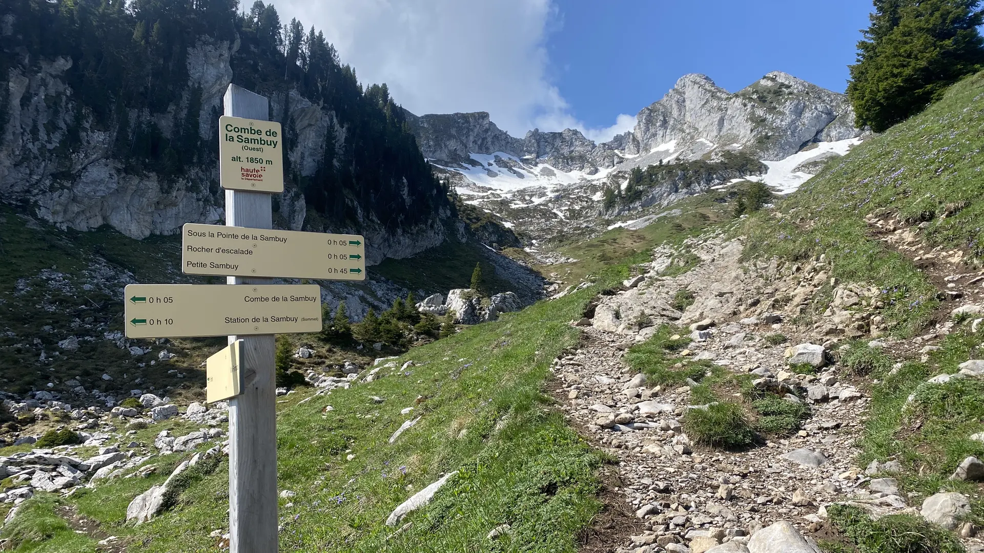 Randonnée pédestre : La Petite Sambuy via la piste forestière_Faverges-Seythenex