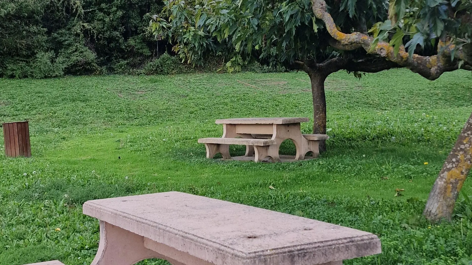 Aire de pique-nique des Pénitents des Mées_Les Mées ©OT PADLB