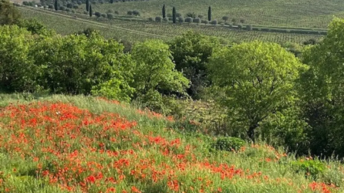 En campagne