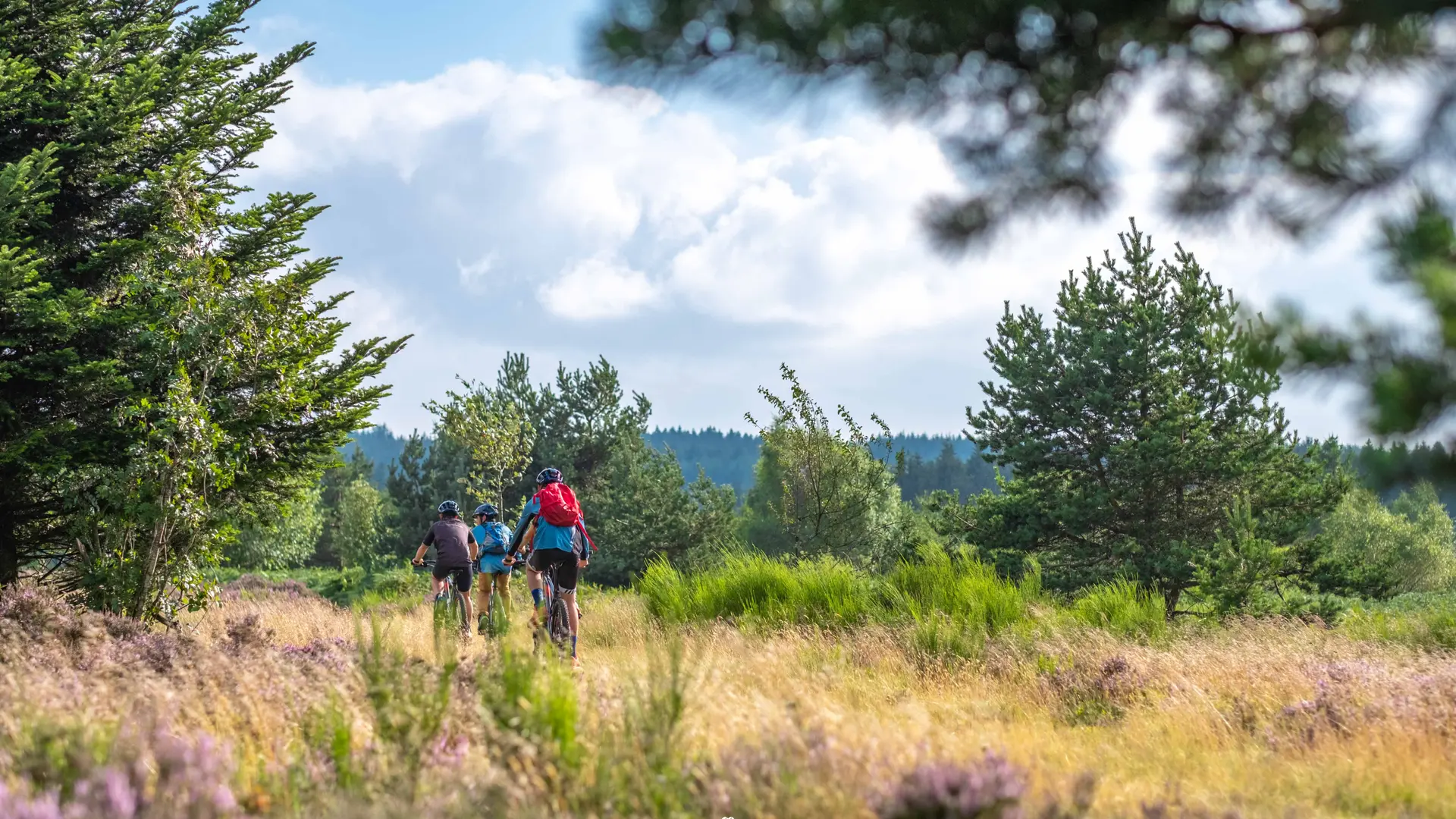 Le plateau de la Verrerie à Saint-Nicolas-des-Biefs