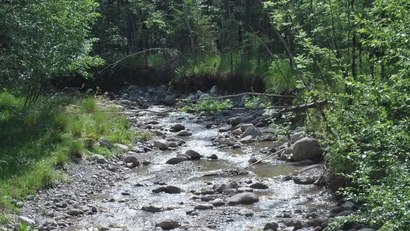 La source de la Bastié