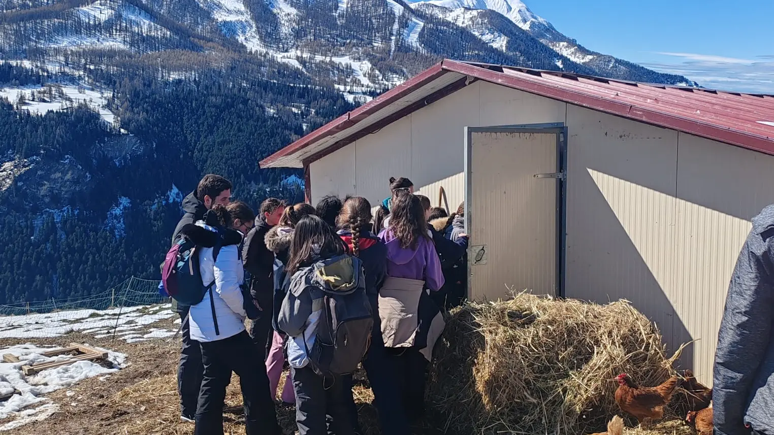 La Ferme Tout là Ô_Orcières