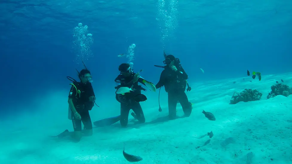 Tahiti Nui Diving