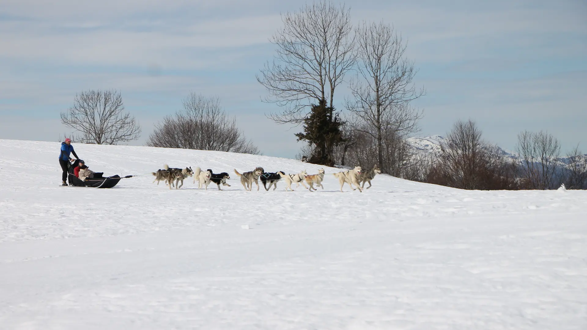 Attelage sur Neige, Terre Sauvage