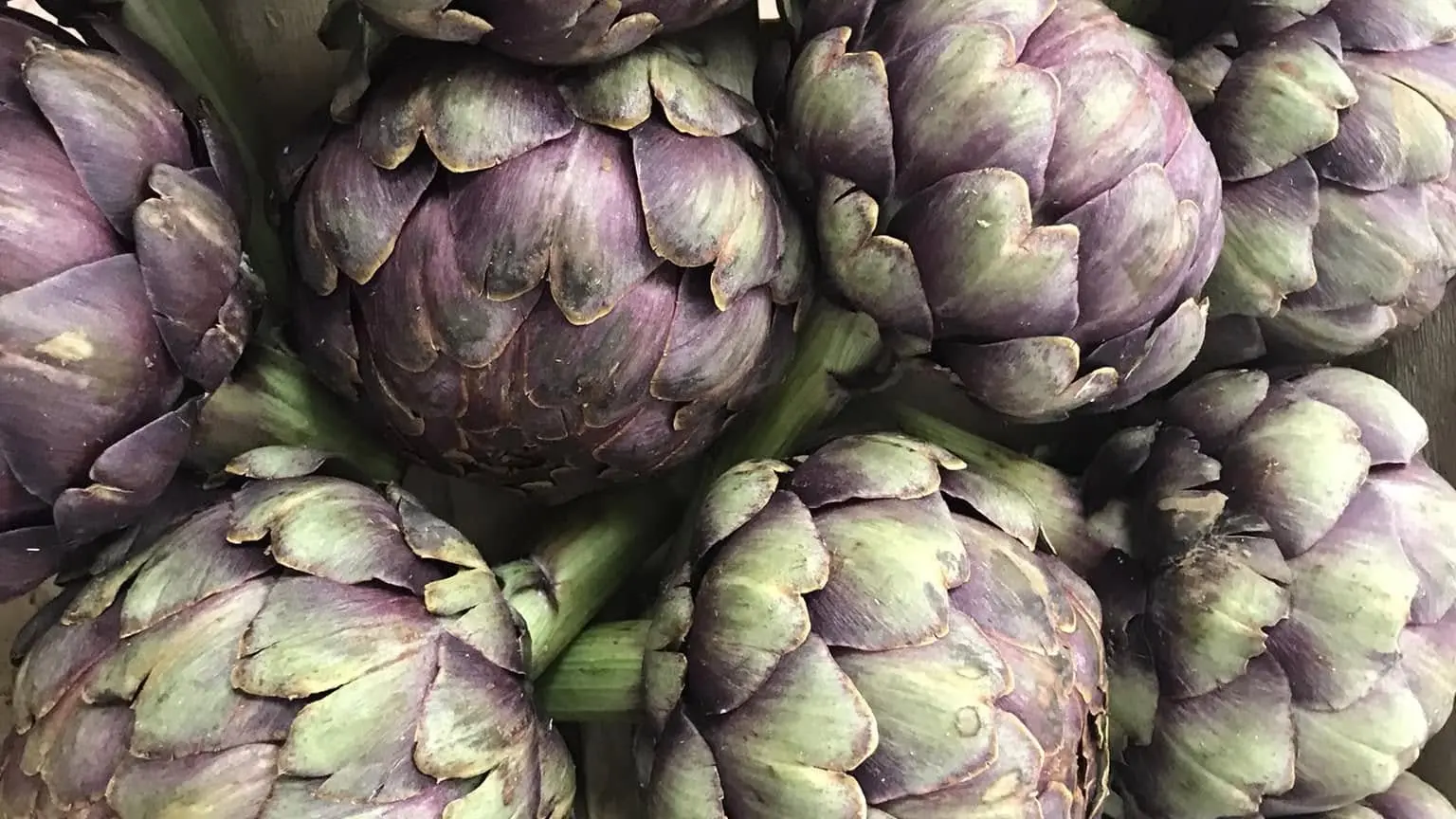 Artichaut
